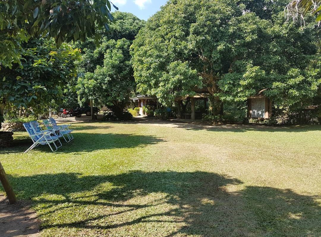 Garden and bungalows