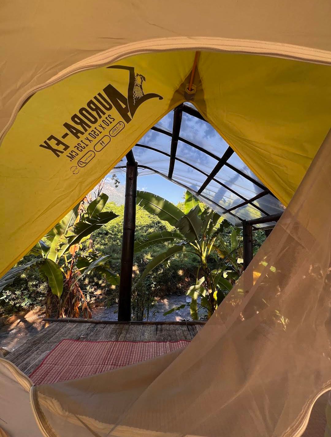 View from tent